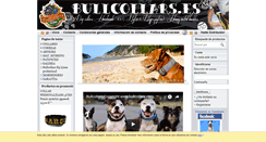 Desktop Screenshot of bullcollars.es
